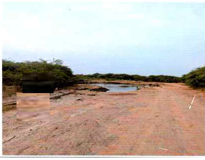 course